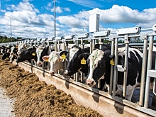 В Калужской обл. обсудили реализации аграрной политики в молочном секторе