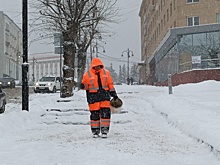 В Курске во дворах ежедневно убирают снег порядка 600 дворников