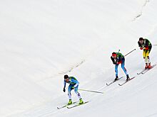 Раскрыты детали голосования Совета FIS по допуску россиян к международным стартам