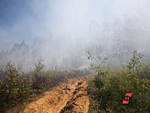 Русское «авось»: южноуральcкие садоводы не спешат страховать свои дачи от пожаров