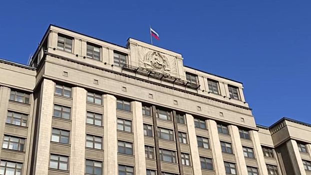Госдума ищет новые пути использования маткапитала