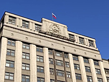 Госдума ищет новые пути использования маткапитала