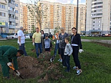 Во дворах Косино-Ухтомского района появилось больше зеленых насаждений