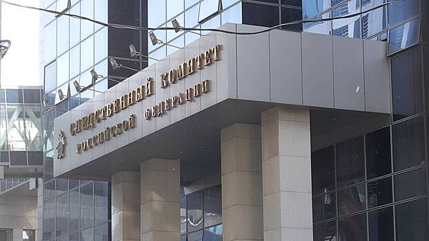 СК затребовал доклад в связи с публикацией о домогательствах мужчины к девочкам