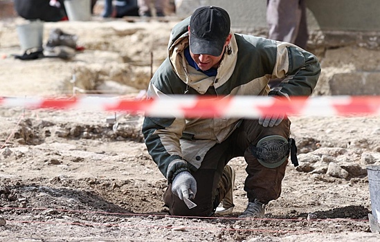 В Новгородской области обнаружили соколиный двор XII века