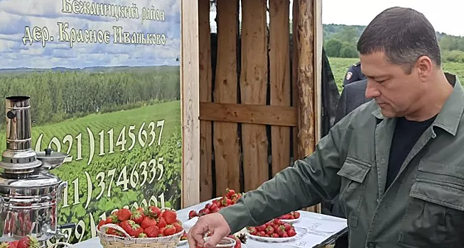 Крестьянское хозяйство «Бежаницкая ягода» собрало четыре тонны клубники