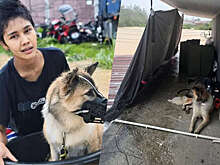 SCMP: тайка отказалась эвакуироваться во время наводнения без питомцев