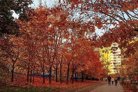 Москвичей предупредили о переменчивом сентябре
