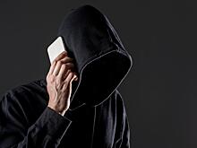 В Новосибирской области выросло количество жалоб на кибермошенников