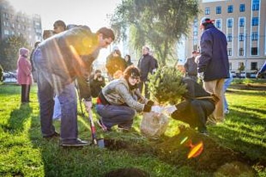 550 деревьев и кустарников высадят в центральном парке Белгорода