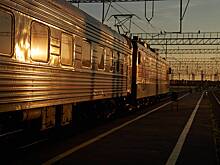 Названы самые необычные забытые россиянами вещи в поездах