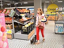 В России поручили контролировать цены на продукты