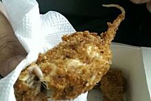 «Нашедший» крысу в заказе от KFC признался в подлоге