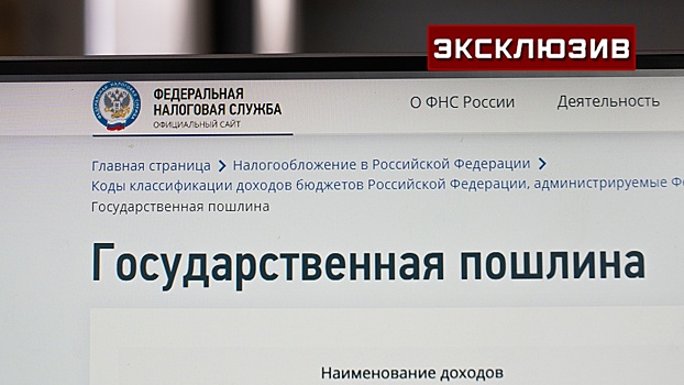 Экономист предупредила о последствиях игнорирования уведомлений от ФНС