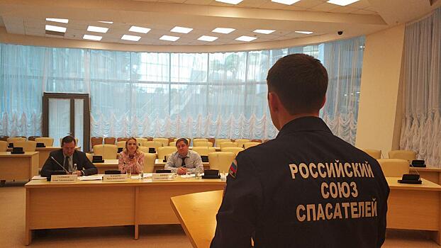 В Подмосковье сформирован Координационный Совет в сфере добровольчества при губернаторе Московской области