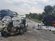 Шесть человек погибли в ДТП в Сальском районе