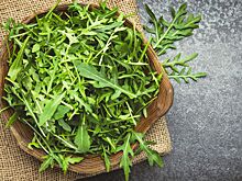 Тренер Лопес поделился рецептом вегетарианского салата