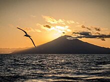 Отдаленный остров станет одним из крупнейших заповедников в мире