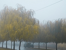 В Волгоградской области в первый день зимы синоптики обещают туман и гололед