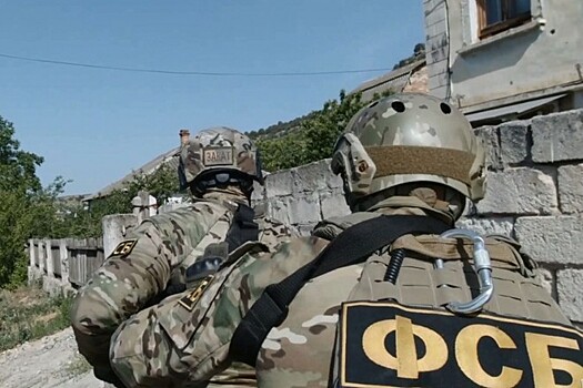 В управлении лесами Алтайского края начались обыски