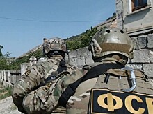 В управлении лесами Алтайского края начались обыски