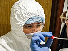 Более 5 млн заразились коронавирусом в США