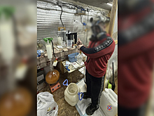 Злоумышленник, оборудовавший гаражный подвал под нарколабораторию, задержан полицией Волгограда