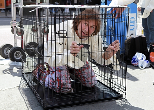 Евгения Чичваркина* объявили в розыск