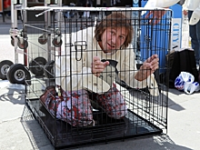 Евгения Чичваркина* объявили в розыск