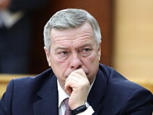 Связанная с ростовским губернатором семья получила контракты на 412 млн рублей