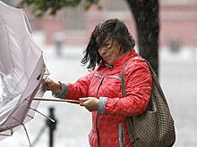 МЧС предупредило москвичей о сильном ветре