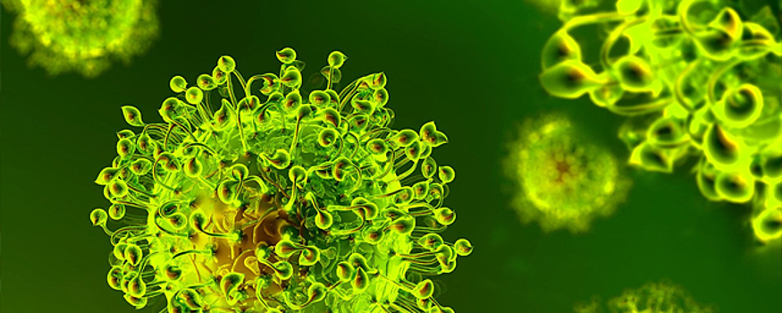«Система-БиоТех» разработала единый тест для COVID-19 и ещё семи вирусов