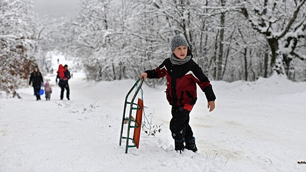 Россиянам рассказали, какой будет предстоящая зима