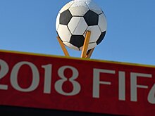 Противоправные акции фанатов на ЧМ-2018 будут пресечены
