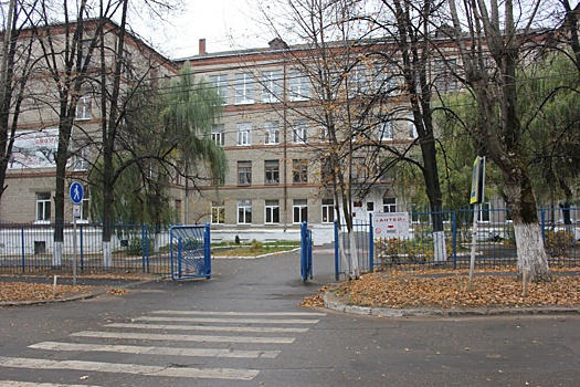 Безопасная дорога. Рязанский ОНФ проверил переходы к школам