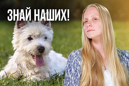 Знай наших! Об одомашнивании собак