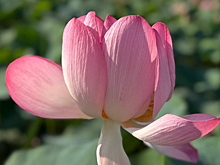 Алевтина Доненко поучаствовала в бизнес-ретрите «ОПОРЫ РОССИИ»