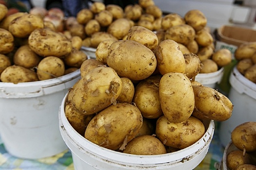 Картофель и капуста существенно подорожали в Забайкалье