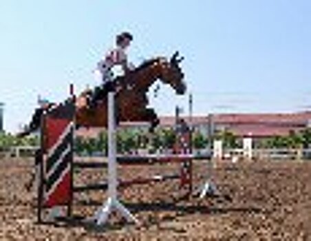Сотрудника УФСИН России по Тамбовской области признали лучшим спортсменом региональной Федерации конного спорта