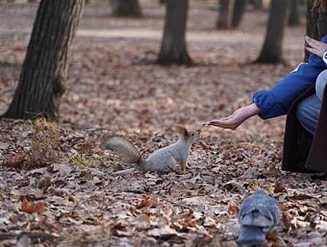 В Самаре отметили День защиты белок