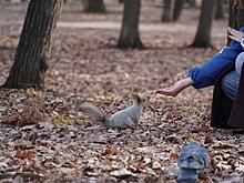 В Самаре отметили День защиты белок