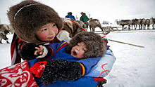 День оленевода на Ямале соберёт 10 000 туристов из России и Зарубежья