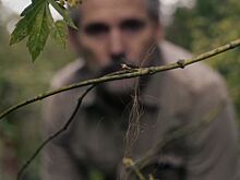 Netflix продлил детективный сериал «Неукротимый»