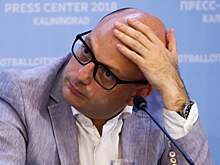 Теймураз Лепсая: «В России есть клубы, годами не выплачивающие зарплаты и налоги, а никого не сажают»