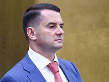 В Госдуме предложили альтернативу мигрантам из Средней Азии