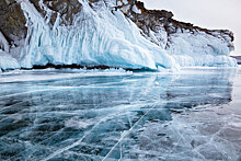На Байкале запечатлели на видео массовый отдых нерп на первом льду