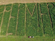 На грантовую поддержку фермеров в этом году выделено 9,5 млрд рублей