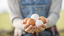 Как правильно хранить яйца в домашних условиях