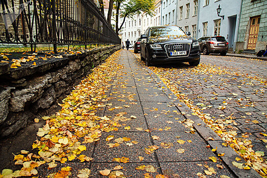 Погода в Эстонии: самый точный прогноз на 31 октября — 1 ноября
