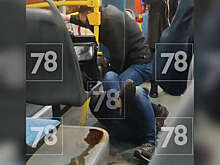 В Петербурге на видео попало, как пассажиры устроили драку на полу в автобусе